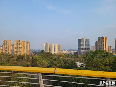 【回家路上】+回家，登高望遠