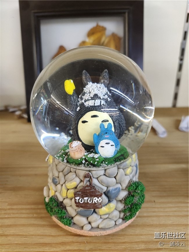 北京星部落1月線下活動——致青春，致童年