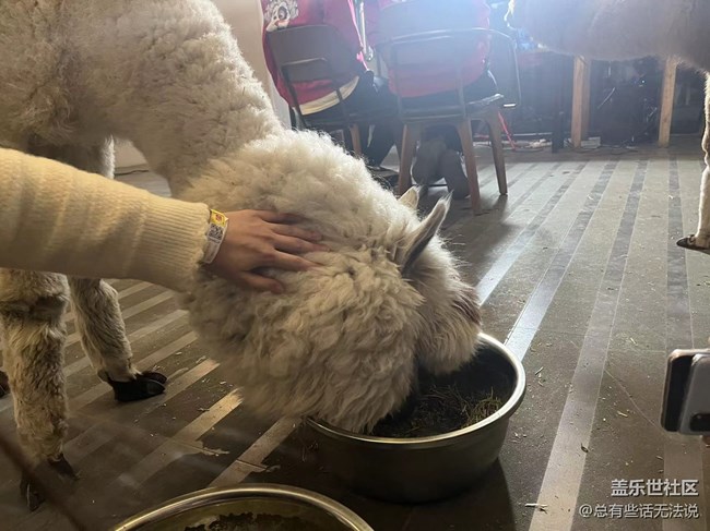 和閨蜜一起品鑒三星W23