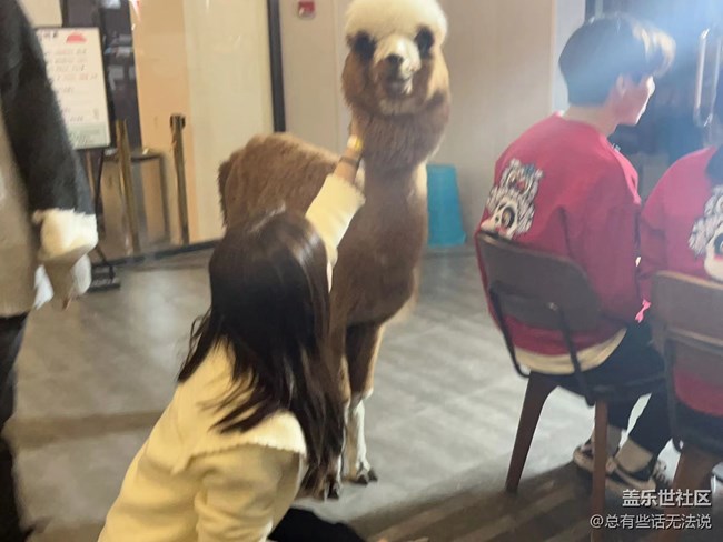 和閨蜜一起品鑒三星W23