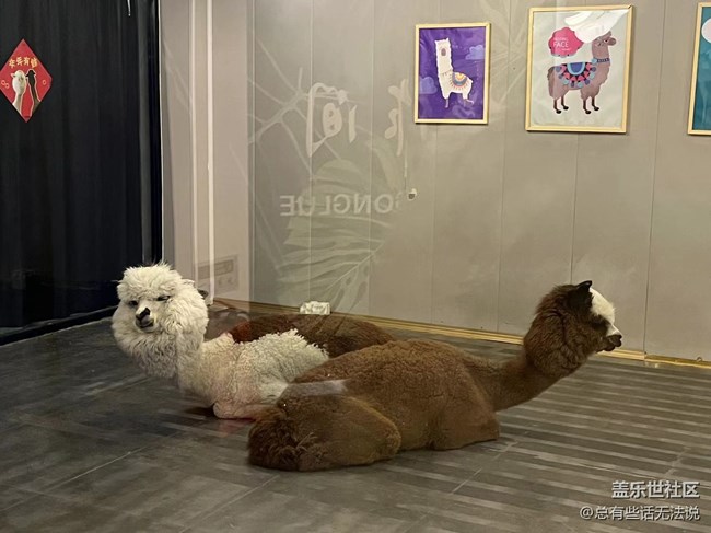 和閨蜜一起品鑒三星W23