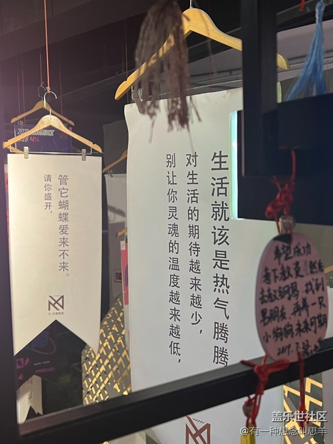 沈陽W23折疊屏品鑒活動回顧