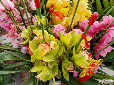 【過大年】——逛花市