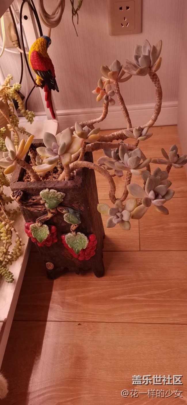 與美好相遇+小肉肉