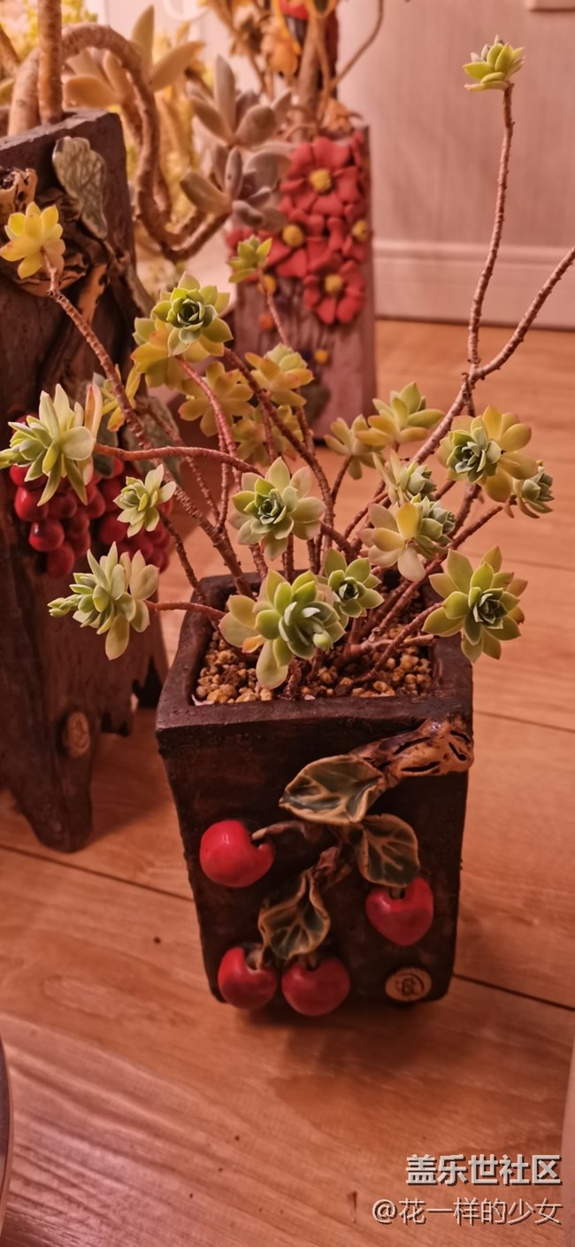 與美好相遇+小肉肉