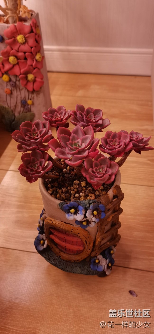 與美好相遇+小肉肉