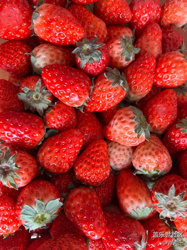 #賀歲迎新——食材