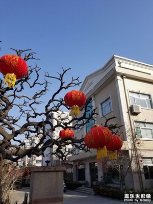 【新年快樂】大紅燈籠高高掛
