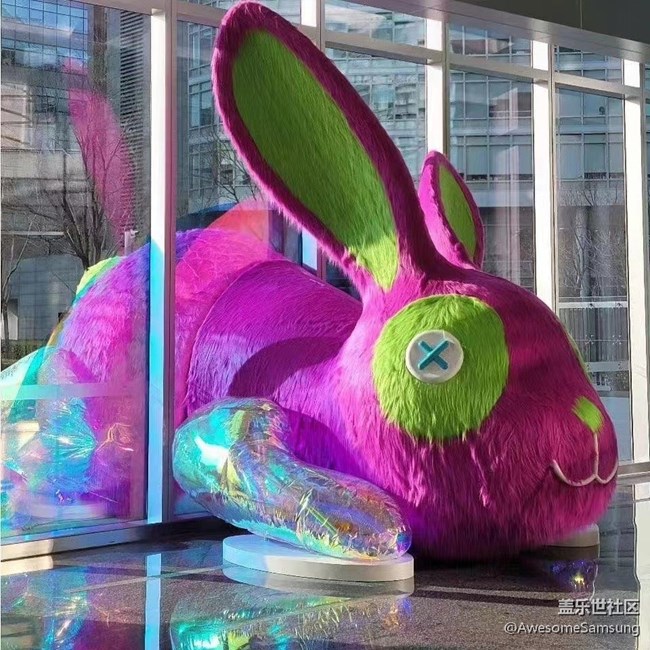 【兔年尋兔】社區(qū)的攝影主題和電視的主題，居然一致！