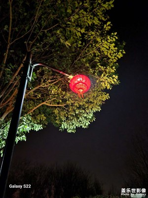 新年快樂
