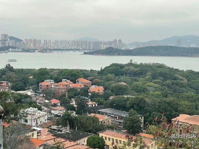 【故鄉(xiāng)之思】兔年吉祥