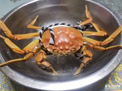 【過大年】——大螃蟹