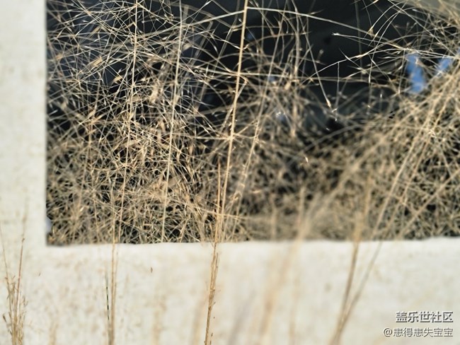 #賀歲迎新——冬日小景