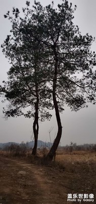這個怎么樣