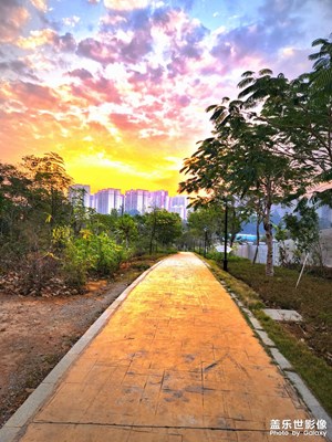 風(fēng)景