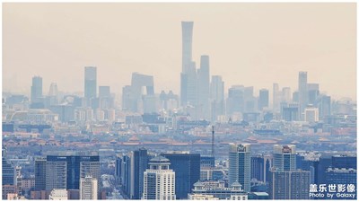 帝都森林