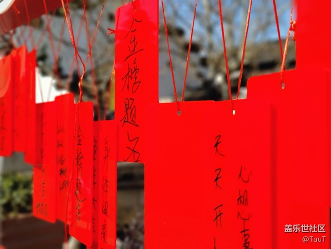 #賀歲迎新——許愿