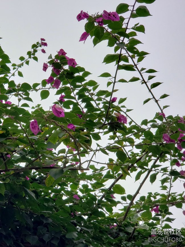 【新年新氣象】植物園之旅