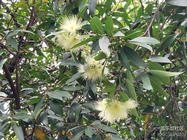 【新年新氣象】植物園之旅