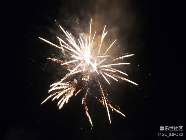 #賀歲迎新——綻放的煙火