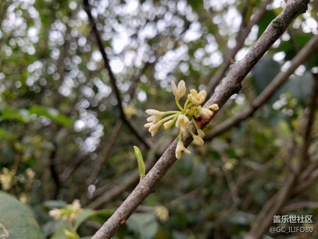 【新年新氣象】植物園之旅