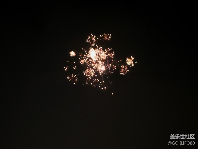 #賀歲迎新——綻放的煙火