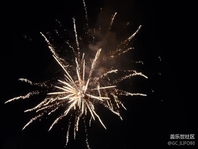 #賀歲迎新——綻放的煙火