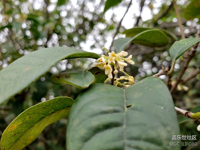 【新年新氣象】植物園之旅
