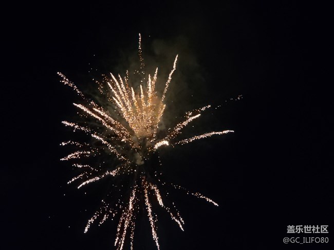 #賀歲迎新——綻放的煙火