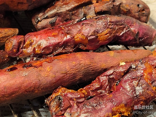 22年末活動回顧