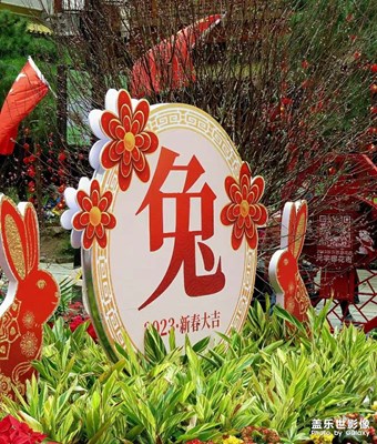 拍花