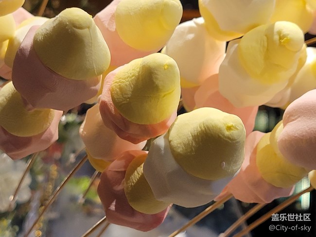 22年末活動回顧