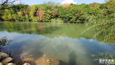今天天氣不錯