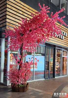 南粵的花燈