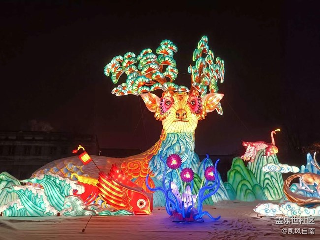 沈陽(yáng)部落邀您一起拍花燈 沈陽(yáng)部落邀您一起拍花燈