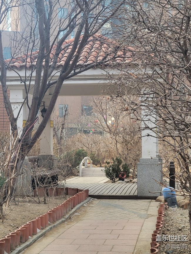 【故鄉(xiāng)之思】我家小區(qū)