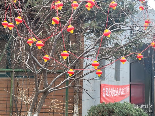 【故鄉(xiāng)之思】我家小區(qū)