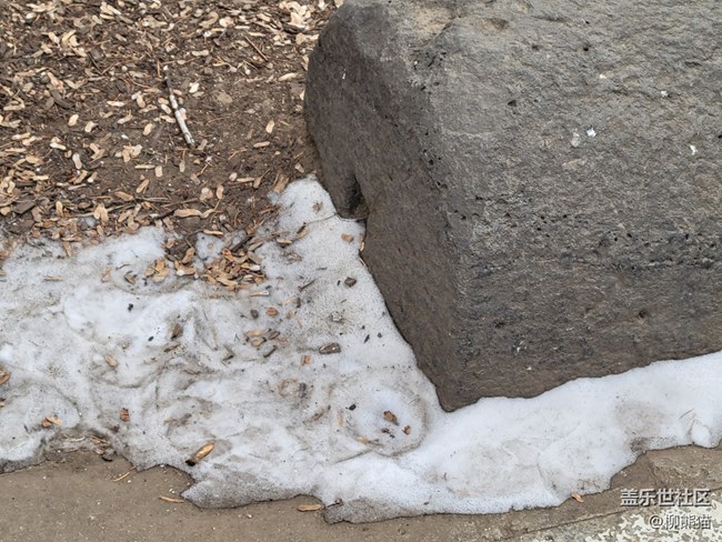 故鄉(xiāng)之思+白雪