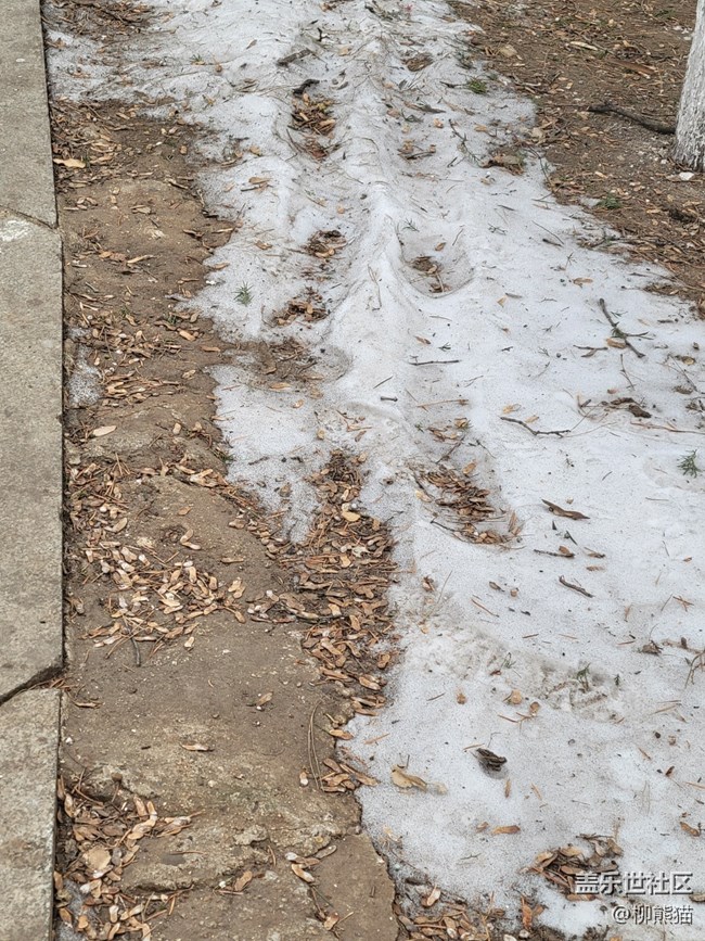 故鄉(xiāng)之思+白雪