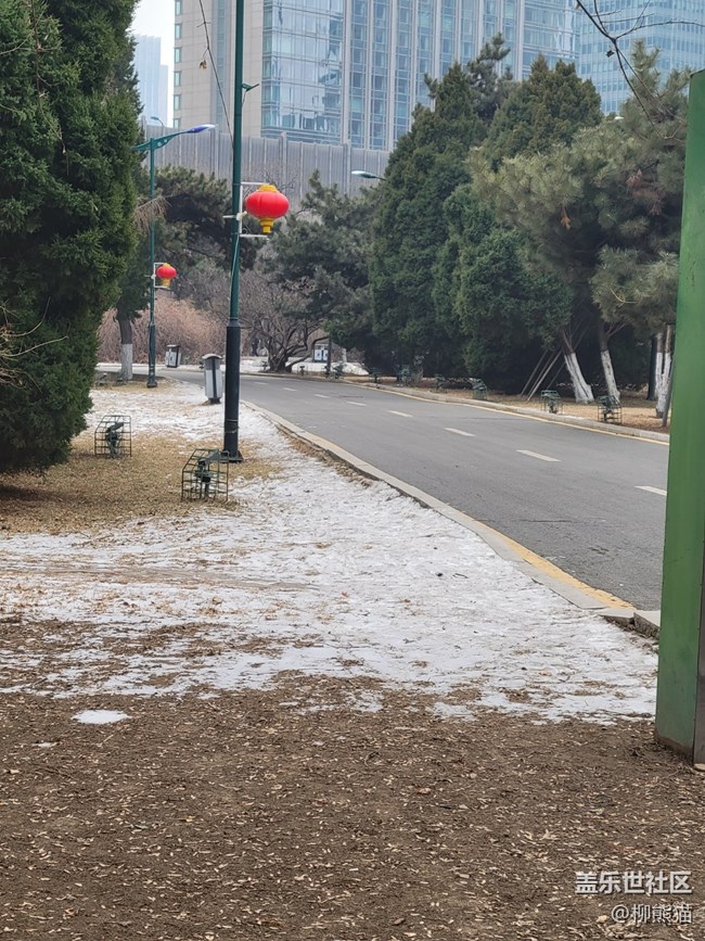 故鄉(xiāng)之思+白雪