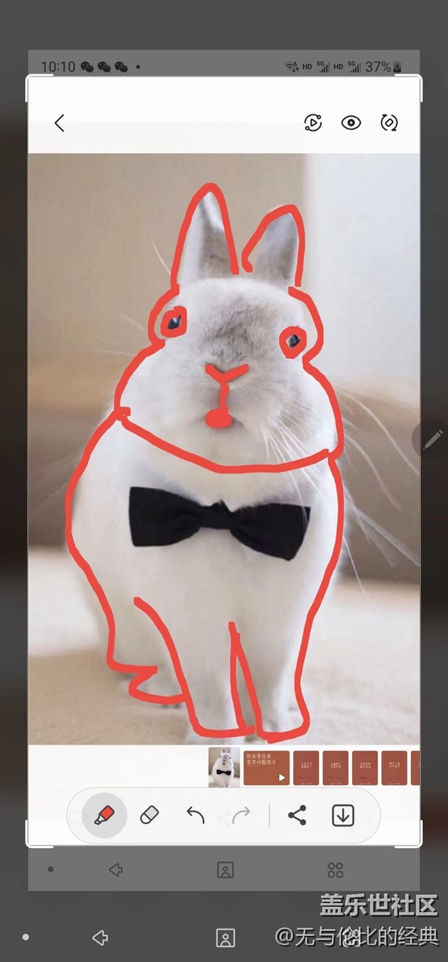 【兔年尋兔】耳朵長(zhǎng)又長(zhǎng)