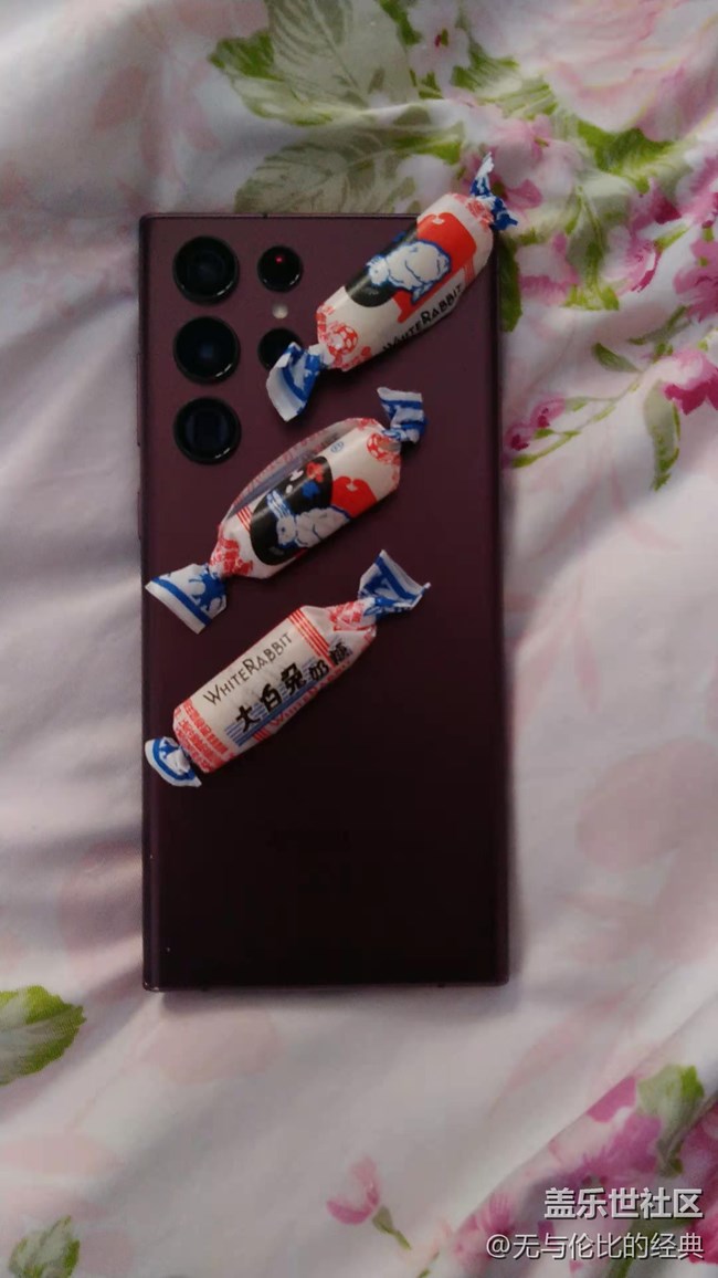 【兔年尋兔】耳朵長(zhǎng)又長(zhǎng)