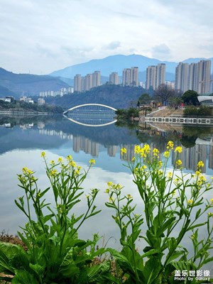 青黛山水與天齊