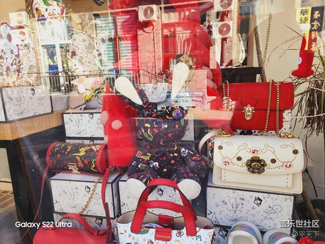 【兔年尋兔】無(wú)兔不在