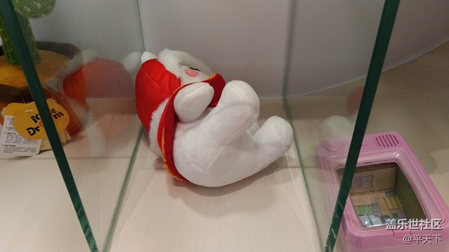 【玉兔呈祥】櫥窗里的兔子