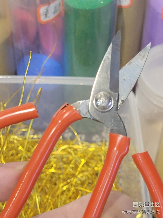 新春攝影活動回顧貼