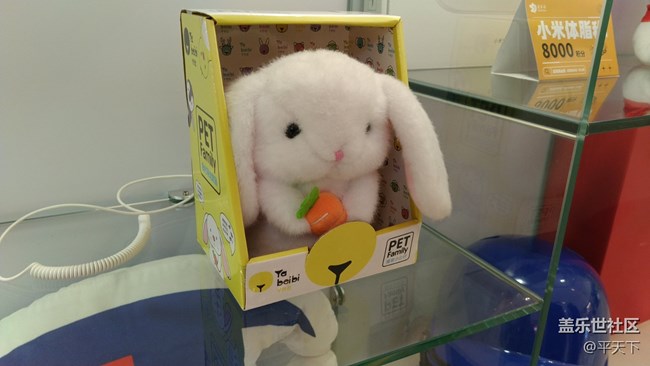 【玉兔呈祥】櫥窗里的兔子