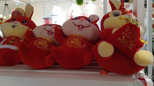 【玉兔呈祥】街邊的小兔子