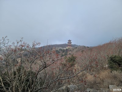 【鬧元宵】+ 登泰山-2