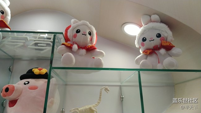 【玉兔呈祥】櫥窗里的兔子